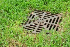 Area drains Services